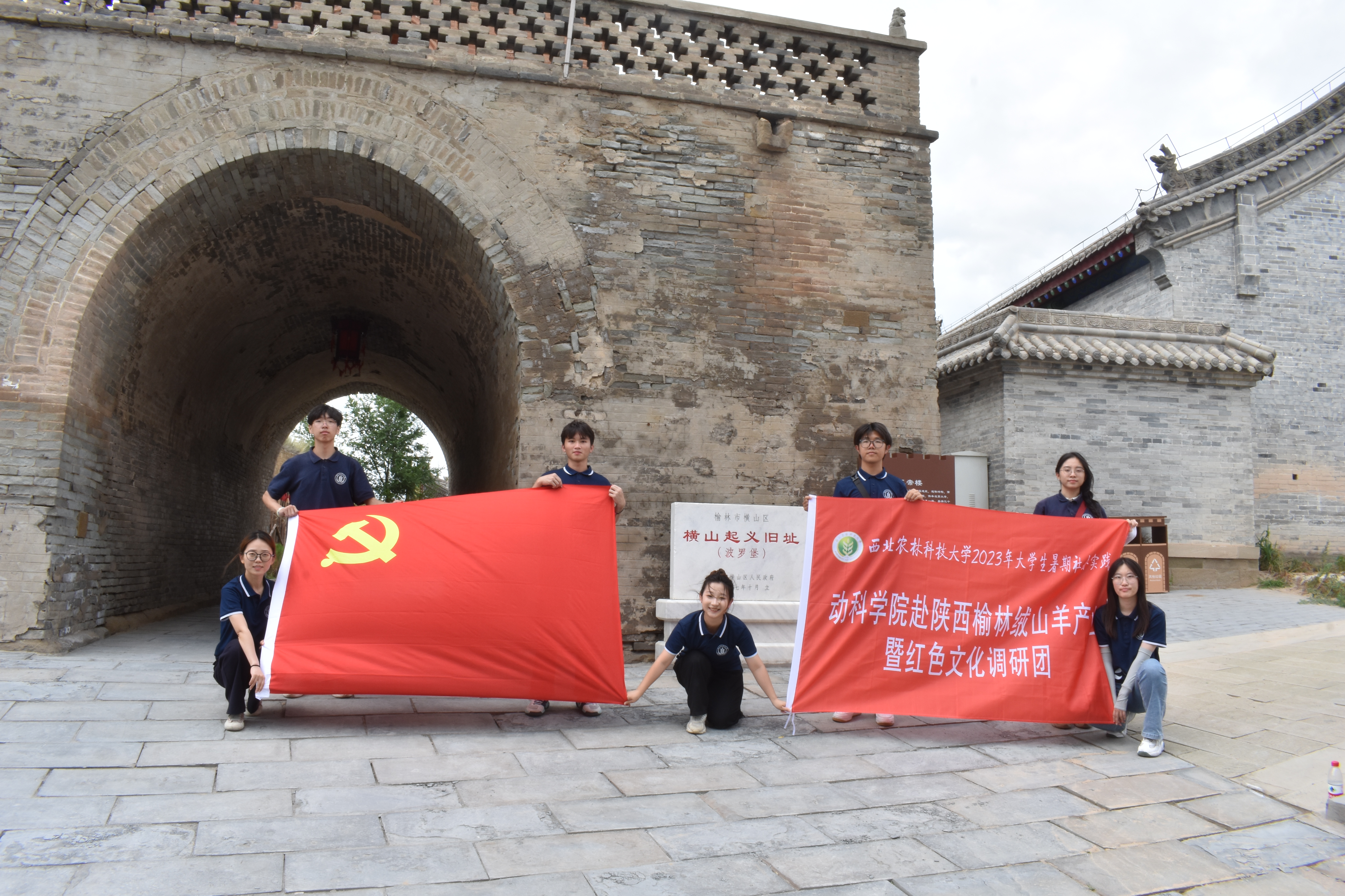 d45e2cd4699348f4bf1a23dcc2a8b4c1.jpg d45e2cd4699348f4bf1a23dcc2a8b4c1.jpg