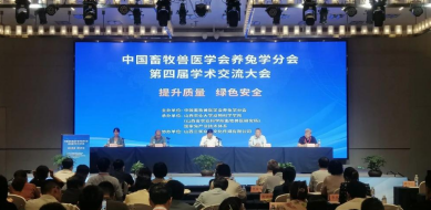 fb7eb550f58243479896e1065efdf61f.png 8.png